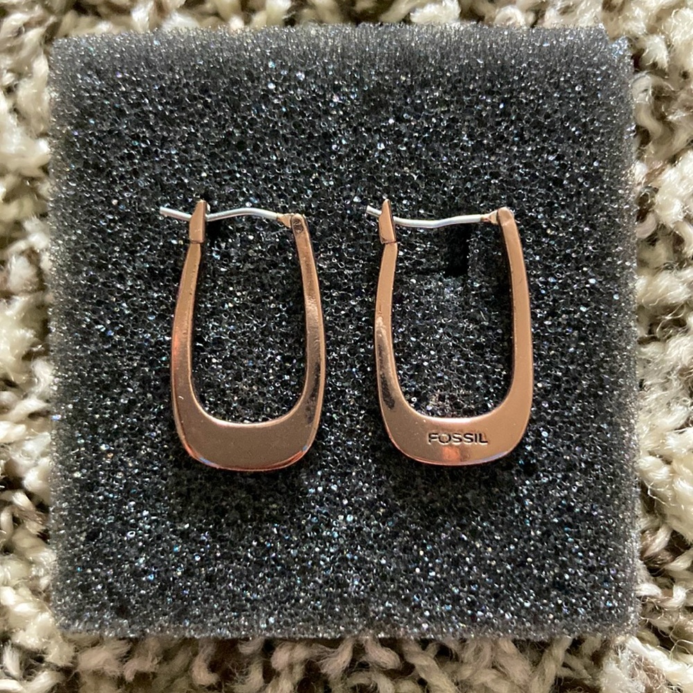 Fossil Bronze Hoop Earrings